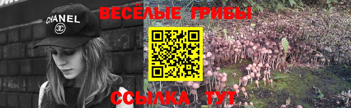 Галлюциногенные грибы GOLDEN TEACHER Строитель