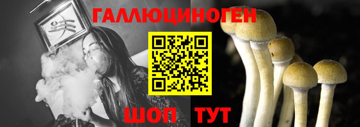 Строитель  Псилоцибиновые грибы ЛСД  Вход с VPN 